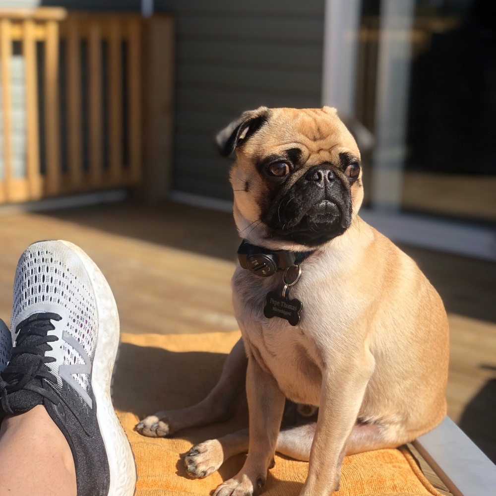 Meet your Posher, Marie